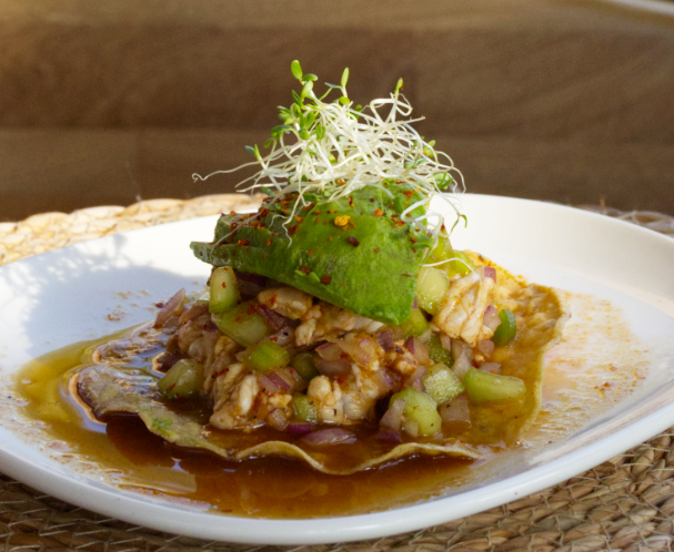 xcaanda tostada choix
